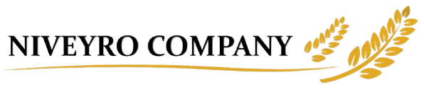 Logo Niveyro Corredora