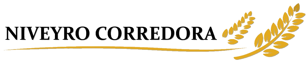 Logo Niveyro Corredora